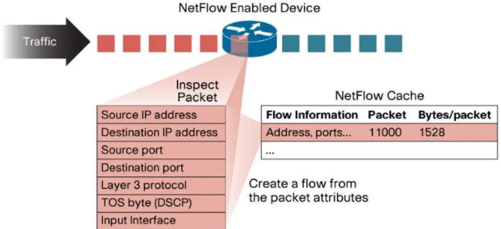 Figure 2.2: How a Netflow enabled device exports netflow records. This image is taken from Introduction to Cisco TM IOS Netflow.