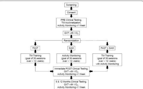 Fig. 1 Study Schedule and Subject Flow Diagram (TM = Treadmill, GXT = Graded eXercise Test, VO2 = Ventilated Oxygen)