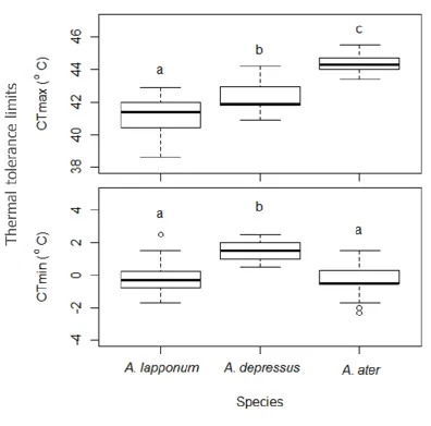 Figure 5. Maximum (CTmax) and minimum (CTmin) thermal tolerance limits (oC) of the three 