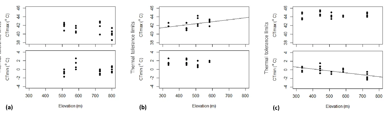 Figure A2. Relationship between the elevation from which the beetle was collected and the maximum (CTmax: top) and minimum (CTmin: 