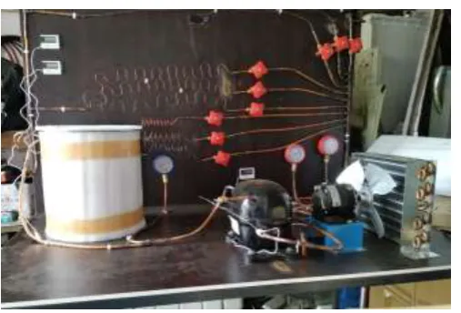 Fig. (a)Pictorial front view of the experimental setup. 