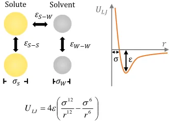 Figure 1. The interactions between solute and solvent molecules are characterised by the ε and σ parameters (left) of the Lennard-Jones potential shown plotted as a function of the separation dis-tance r (right)