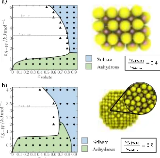 Figure 2). These results suggest that the determining factor for solvate formation is the strength of the solute-solvent interac-tion relative to the solute-solute and the solvent-solvent inter-