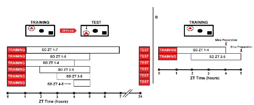 FIGURE 2.1. 