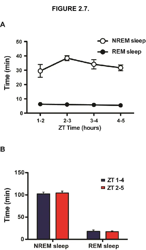 FIGURE 2.7. 