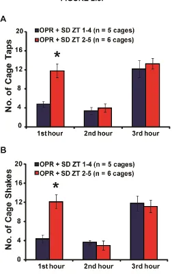 FIGURE 2.8. 