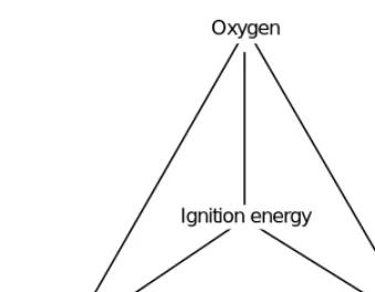 Figure 1.1 The fire quadrangle