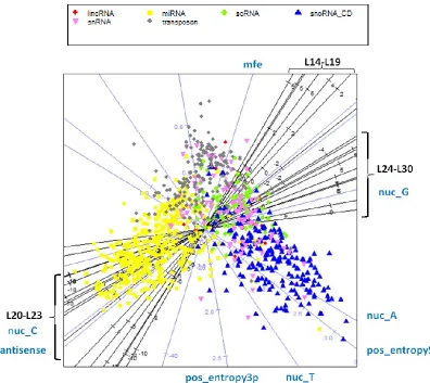 Figure 3.14 – Multidimensional-scaling projection of the features in the brain data 