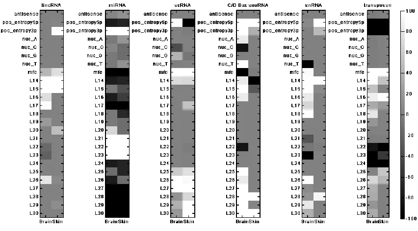 Figure 3.16 - Feature importance map of the 6-class classifier for each tissue 