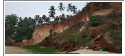 Fig - 4: Cliff image (Image taken from the study area) 