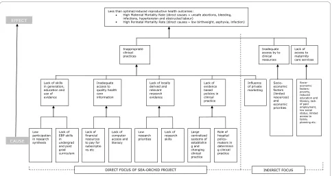 Figure 3 Project rationale: problem analysis