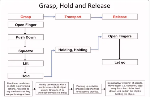Figure 4 Development of grasp, hold and release using verbal mediators