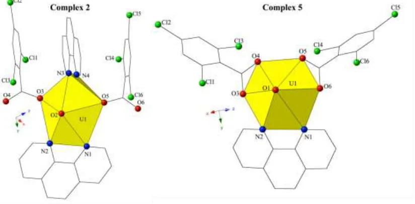 Figure 5 Observed local coordination environments for ‘bent’ and ‘non-bent’ UO2-2,4,6-trichlorobenzoic-phen complexes 2 and 5 highlighting structural differences between two complexes