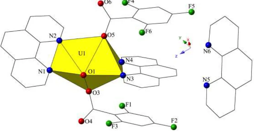 Figure 1 Polyhedral representation of local coordination geometry of 1. Yellow polyhedra represent uranium metal centers, whereas green, red, and blue spheres represent fluorine, oxygen, and nitrogen atoms, respectively