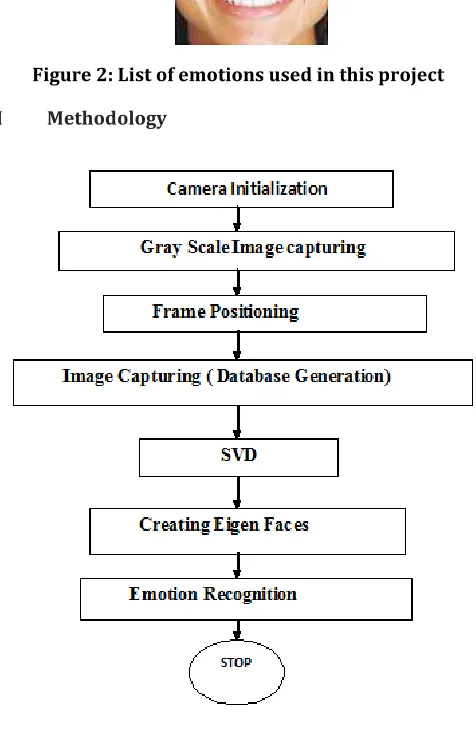Figure 2: List of emotions used in this project 