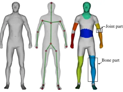 Figure 3: Converting a tetrahedral structure into a skeletal representation. Left:The input mesh; Middle: The skeleton of the mesh; Right: The mesh is decom-posed into a set of bone parts (in colors) and joint parts (in gray).