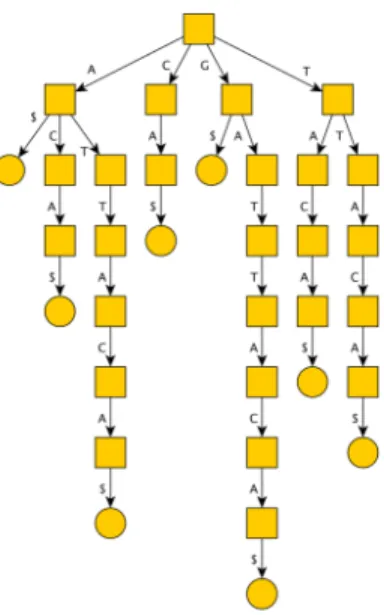 Figure 2.2: Suﬃx trie for string GATTACA$. Each path from root to leaf is labeled with a suﬃx of the string.