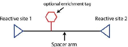FIGURE 1-2 Basic crosslinker design. 