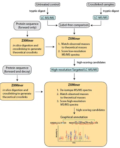 FIGURE 2-1 Multi-tiered data acquisition and analysis pipeline for zero-length crosslinks
