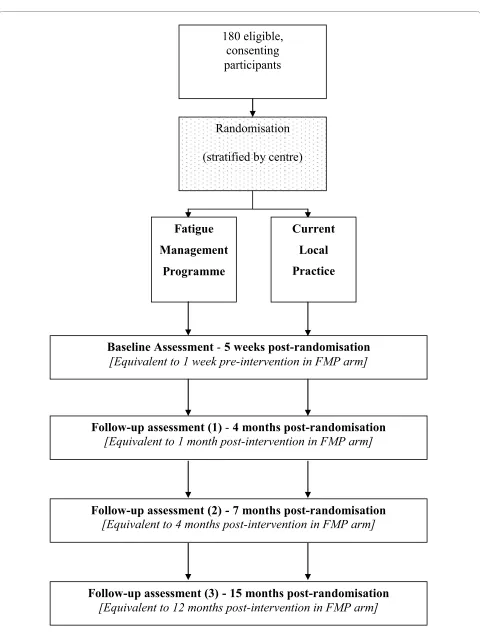 Figure 1 Flowchart of trial design.