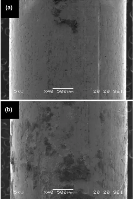 Fig. 7 Average nail-withdrawal resistance of the assembly madefrom LMWP-resin-treated and untreated lamina