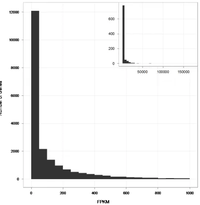 Figure 2.1 Distribution of gene expression levels in human B-cells. A histogram depicting genes with FPKM values less than 1000, and the inset shows genes with FPKM values greater expression levels for genes as defined by Gencode in units of FPKM