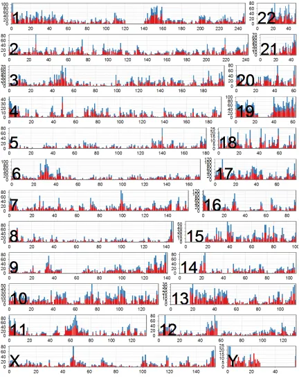 Figure 2.3 Distribution of expressed genes by chromosome. For each chromosome, the number (y-axis) of Gencode genes residing in 1-Mb intervals along the chromosome (x-axis depicts physical distance in megabases) is depicted