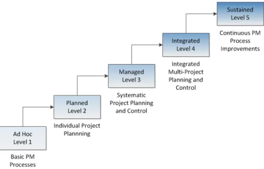 Figure 4: Berkeley PM maturity model (Kwak and Ibbs, 1997)