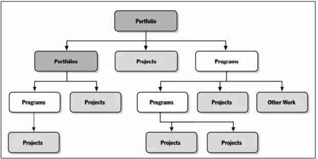 Figure 1.1: Portfolios, Programs and Projects – High Level View. 