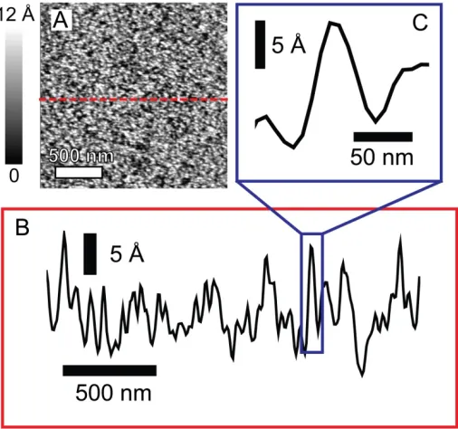 Figure 1.5: Surfaces, even those that are highly polished and smooth to the eye demonstrate nanoscale roughness