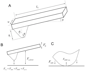 Figure 2.6: (A) Relevant cantilever dimensions used for modeling tip-surface force interaction during dAFM electrical contact cycling