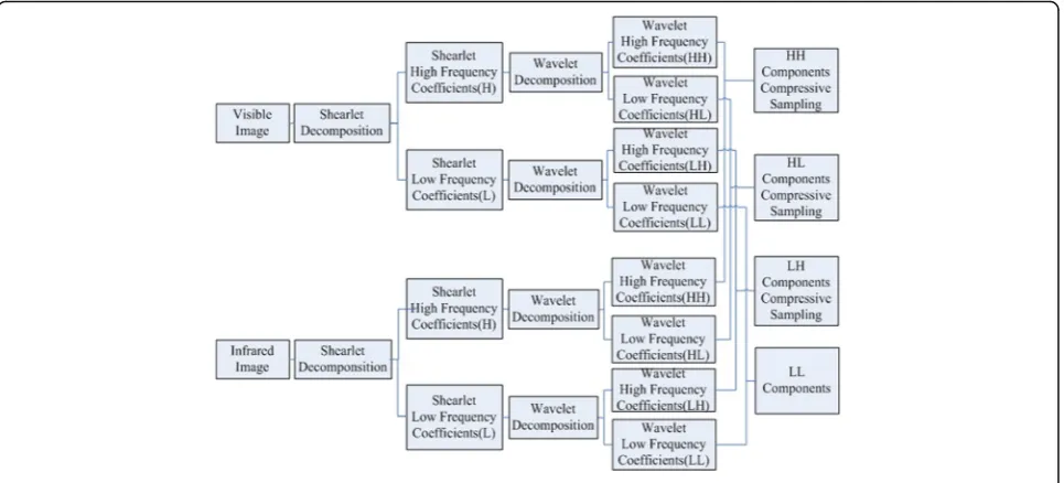 Fig. 1 The original image sparse representation model