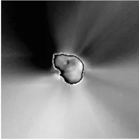 Fig. 5. Dust distribution, enhanced to show jets. One prominent jet, whichis also persistently visible from Earth, traces out a cone with one edgenearly in the plane of the sky and pointing to ecliptic south and withthe other edge pointing toward the obser