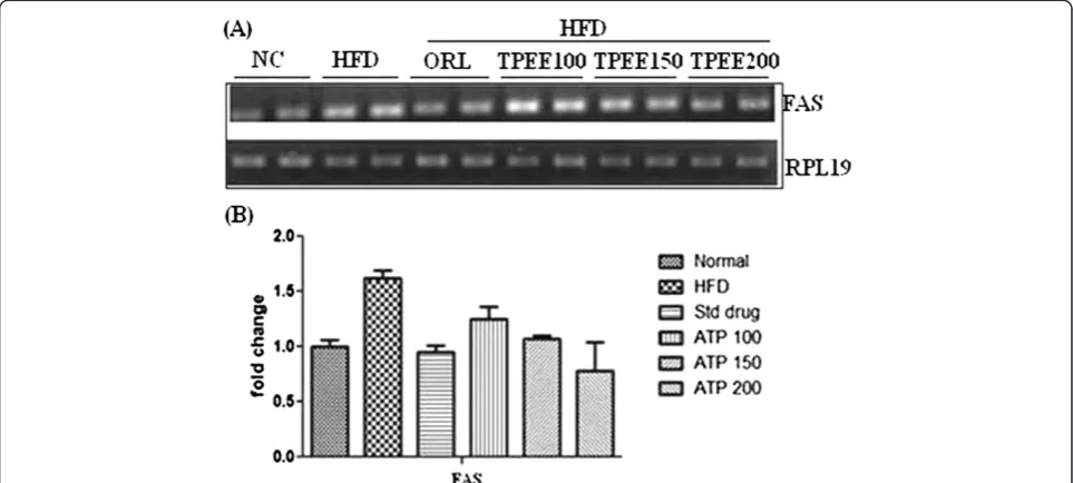 Figure 1 Effect of TPEE on (A) SOD activity (B) CAT activity and (C) MDA content in liver