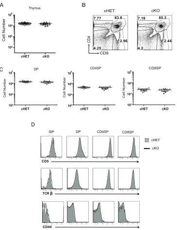 Figure 2.3. Deletion of Foxp4 at the DP stage does not alter thymocyte development. A) Total cellularity was assessed in both cHET and cKO thymi from four-week-old littermates
