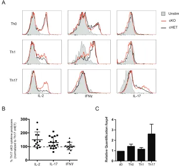 Figure 2.7. Foxp4 is not required for T helper cell differentiation. A) CD4 T cells were enriched from cHET or cKO spleens and cultured in wells coated 1μg/mL anti-CD3 and 5μg/mL soluble anti-CD28