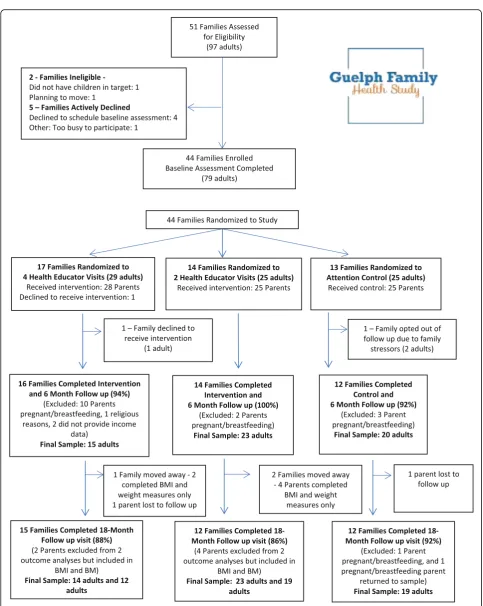 Fig. 1 Study design and participant flow of the Guelph Family Health Study Pilot and analytic sample