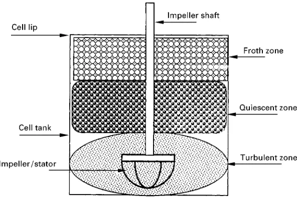 Figure 2Hydrodynamic zones in a mechanical flotation cell.