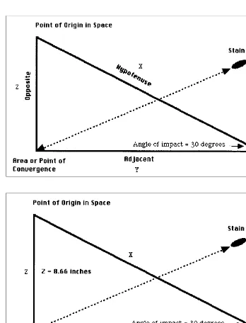 Figure 2.20(A) Formation of a right triangle and the tangent of the angle ofimpact. (B) The use of a right triangle using angle of impact and distance fromthe point or area of convergence of bloodstains to determine the point of origin (Z).