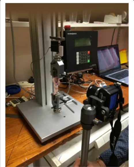Fig. 2 The biomechanical testing jig and experimental set up