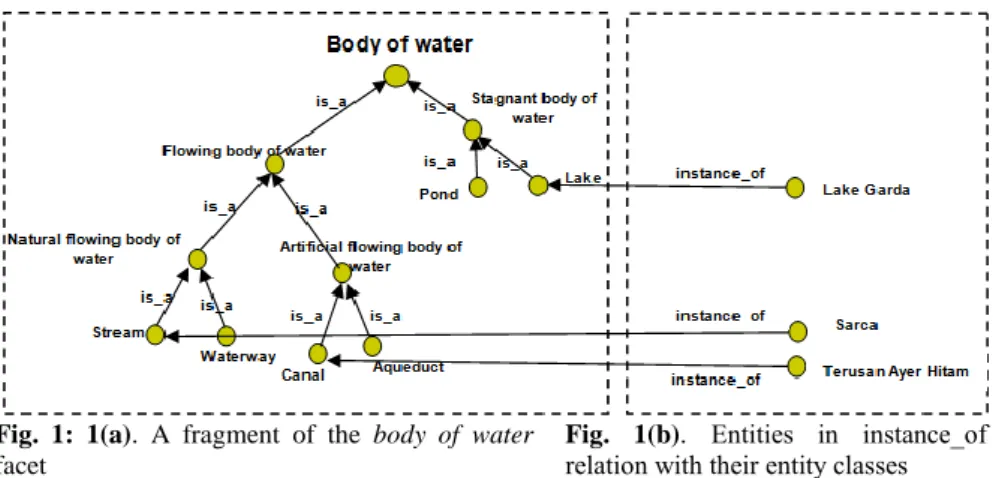 Fig.  1:  1(a).  A  fragment  of  the  body  of  water  facet 