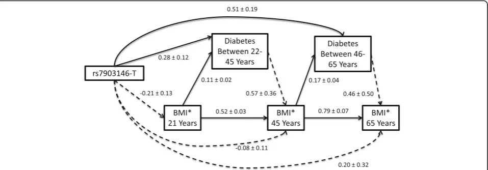 Fig. 2 Illustration of structured pathways (effect estimates and standard errors) between the additive number of rs7903146-T alleles, diabetes, andBody Mass Index (BMI), showing paths with P values < 0.05 in solid lines