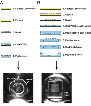Figure 2.3. First- and second-generation PDMS devices for generating cords. (A) 