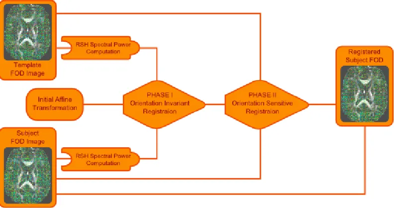 Figure 3.1: FOD registration is accomplished using a two phase registration scheme. Firstspectral power features are computed and registered