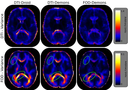 Figure 3.5: Representative slices of the FOD and DTI population variance images com-puted for each registration method, DTI-Droid, DTI-Demons and FOD-Demons