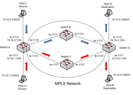 Figure 4-2.  MPLS network configuration 