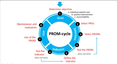 Fig. 1 The PROM-cycle