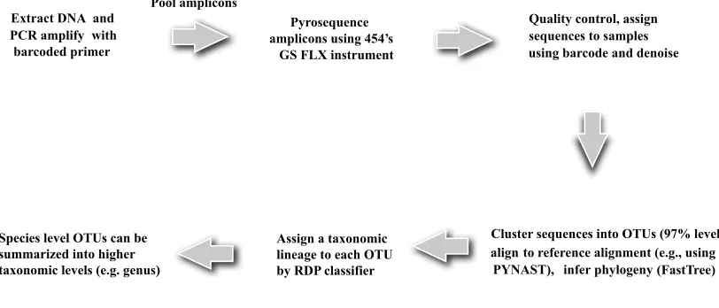 Figure 1: Pipeline for 16S sequence data generation and processing.