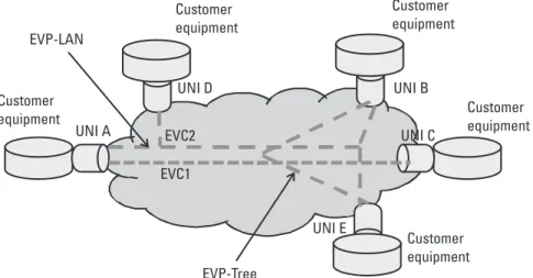 Figure 3.9  EVP-LAN and EVP-tree coexisting on the same network.