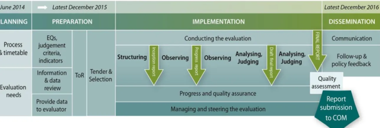 Figure 1   Steps, tasks and timetable related to the ex post evaluation 